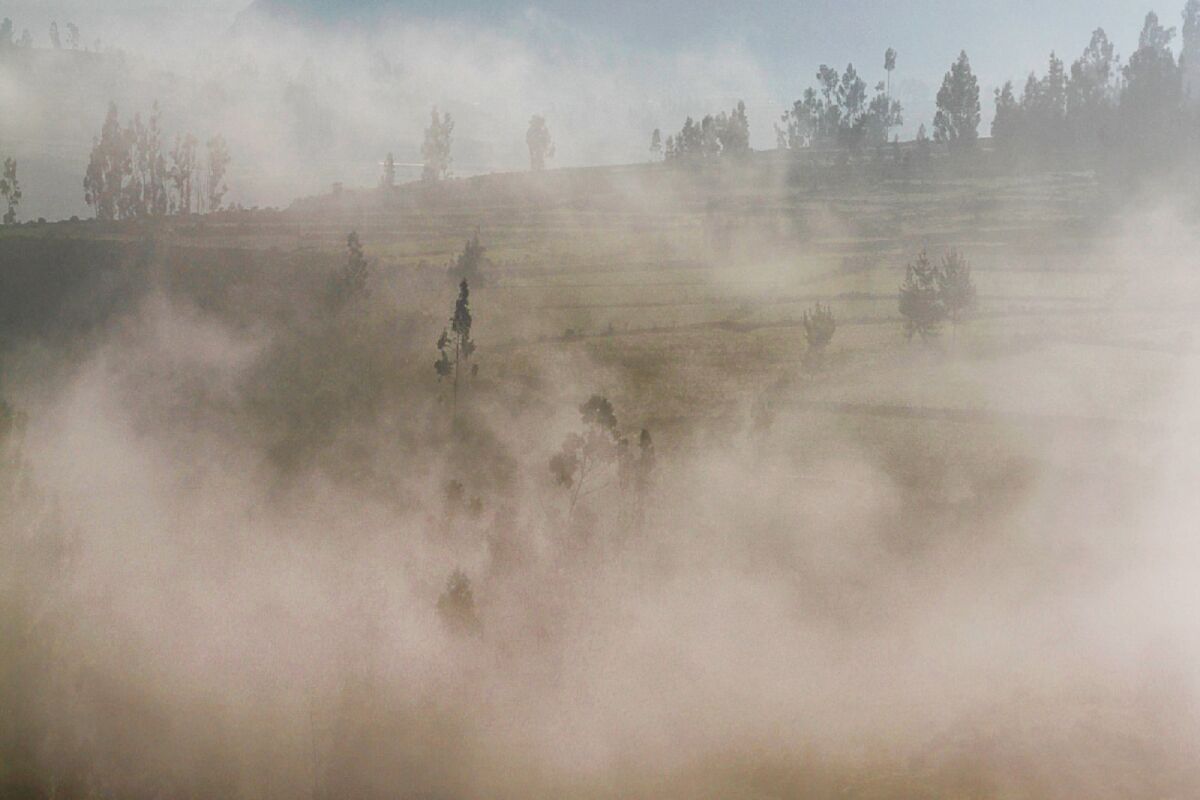 پیش‌بینی تندباد، گردوخاک و بارش برای البرز