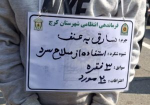 دستگیری ۲۸۶ سارق و ۱۱ مالخر در البرز