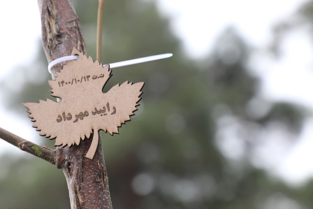 کاشت نهال به نام نوزادان چهارباغ، برای اولین بار در البرز