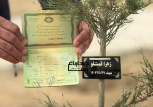 یک نوزاد، اولین کد ملی اختصاصی چهارباغ را دریافت کرد