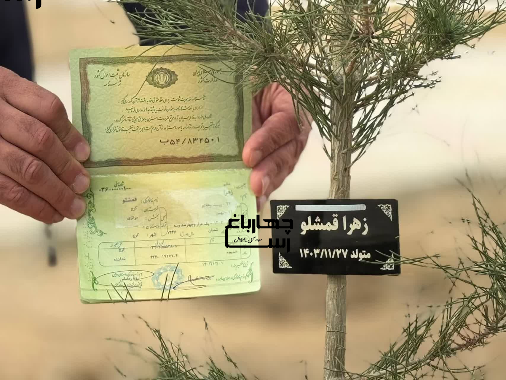 یک نوزاد، اولین کد ملی اختصاصی چهارباغ را دریافت کرد