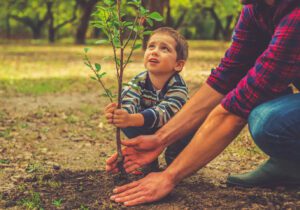 چهارباغ به استقبال هفته منابع طبیعی می‌رود