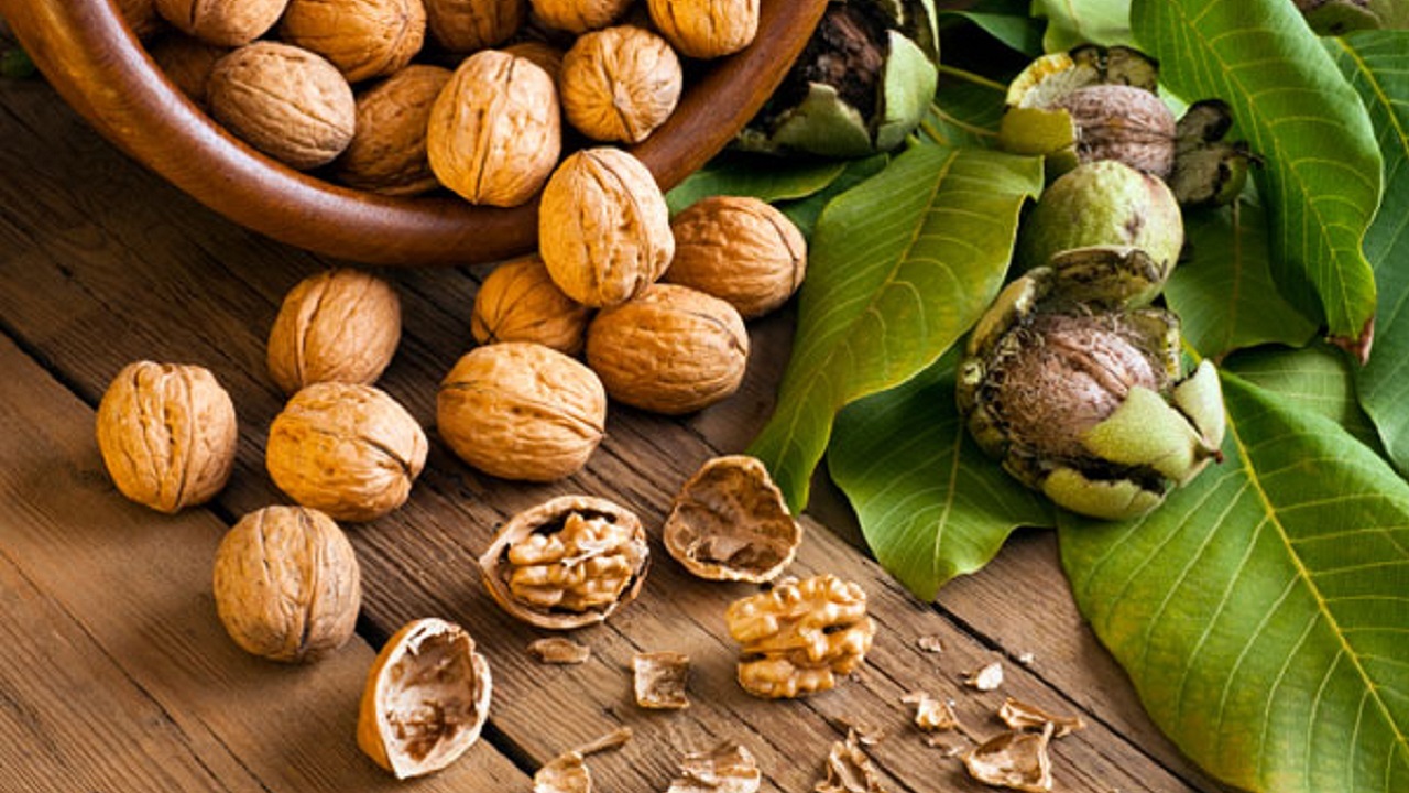 گردو و کاهش خطر ابتلا به سرطان روده