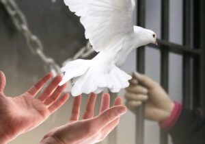 آزادی ۱۴ زندانی توسط بقاع متبرکه ساوجبلاغ و چهارباغ