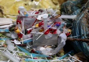 آغاز نظارت بر پسماند کلینیک‌های دامپزشکی چهارباغ