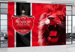 جذب چند بازیکن برای پرسپولیس نهایی شد