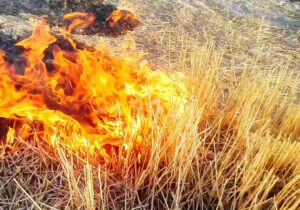 منبع آلودگی هوای چهارباغ شناسائی شد