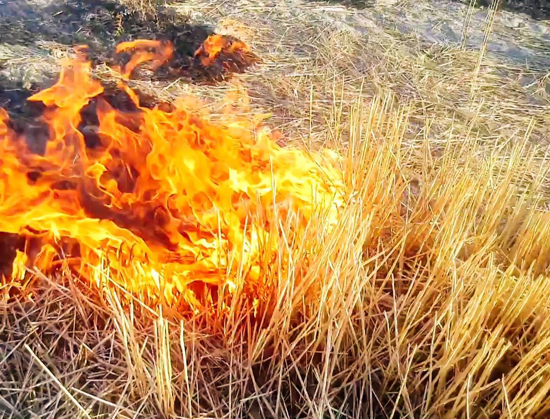 منبع آلودگی هوای چهارباغ شناسائی شد