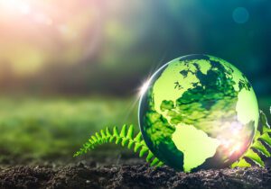 راه‌اندازی نرم افزار محیط زیستی «محیط یار البرز»