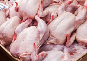 کمبود مواد پروتئینی در بازار چهارباغ نداریم