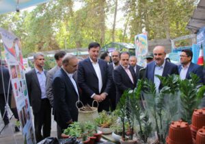 کشت گلخانه‌ای؛ کلید عبور از کم آبی کشور