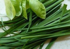 تره برای دیابتی‌ها ممنوع نیست