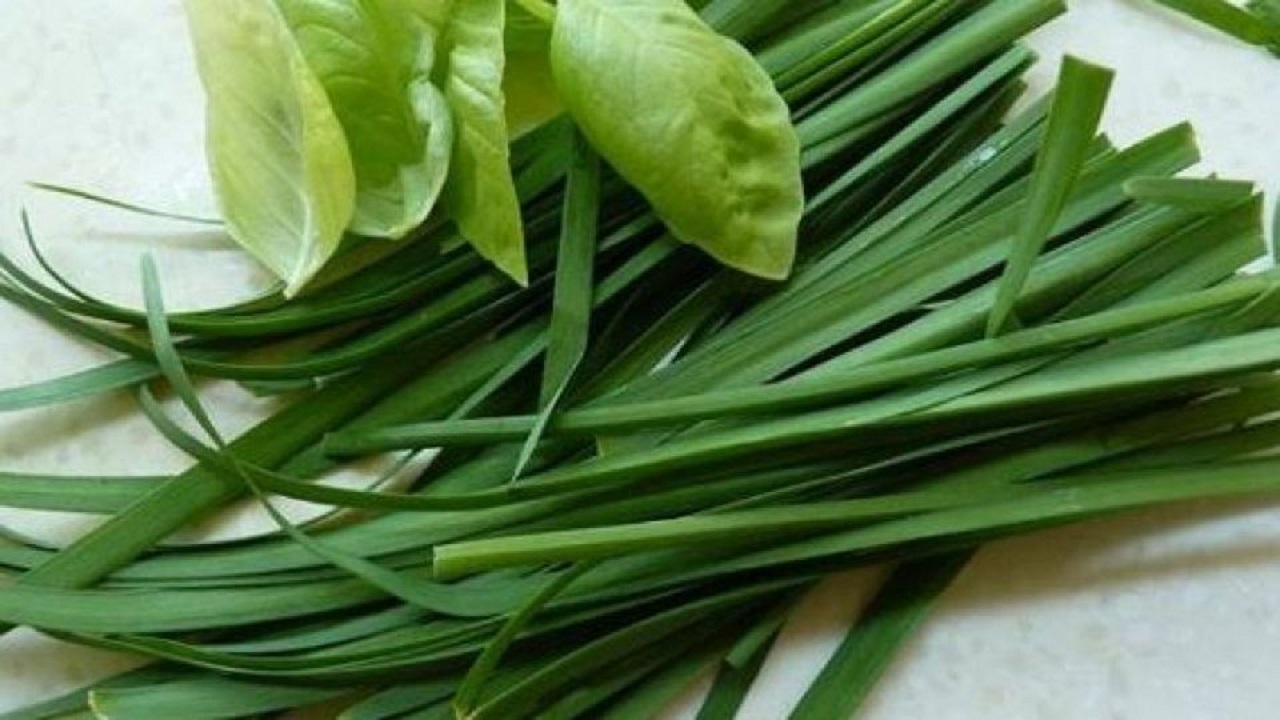 تره برای دیابتی‌ها ممنوع نیست