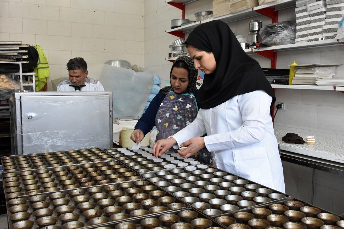 پرداخت ۱۶ میلیارد تومان تسهیلات اشتغالزائی در چهارباغ