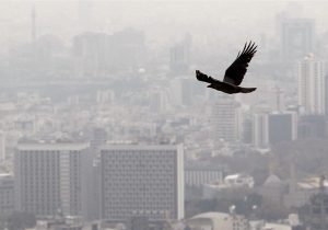 کیفیت هوا در البرز ناسالم شد