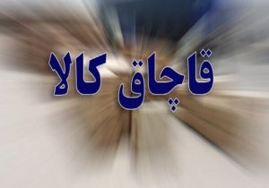 کشف ۳۸۷ میلیاردی کالای قاچاق در البرز