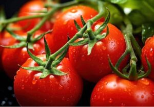 گوجه فرنگی گران شد