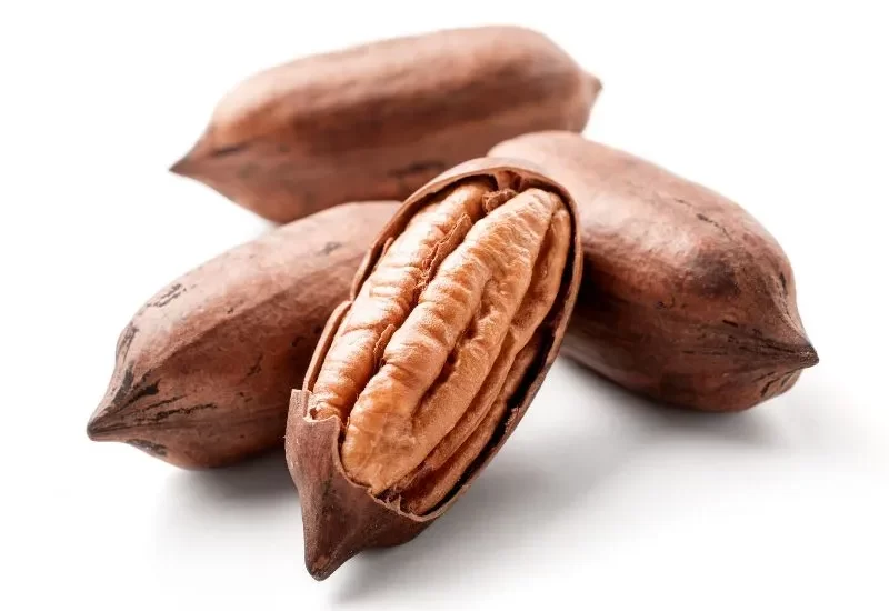 فواید پکان برای سلامتی قلب