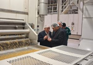 افزایش سهم البرز از بازار ماکارونی جهان