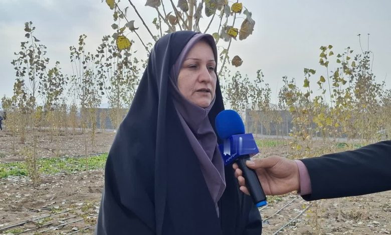 مانور استانی اطفاء حریق در چهارباغ برگزار می‌شود