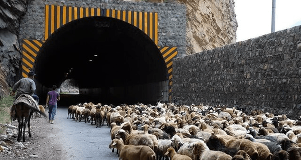 انسداد محور کرج–چالوس به‌ دلیل کوچ عشایر