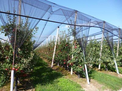 راهکاری نوین برای صرفه‌جویی ۴۰ درصدی آب