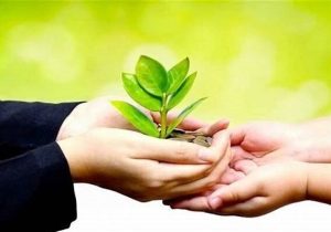 ۳۴۵ مددجوی البرزی حمایت شدند