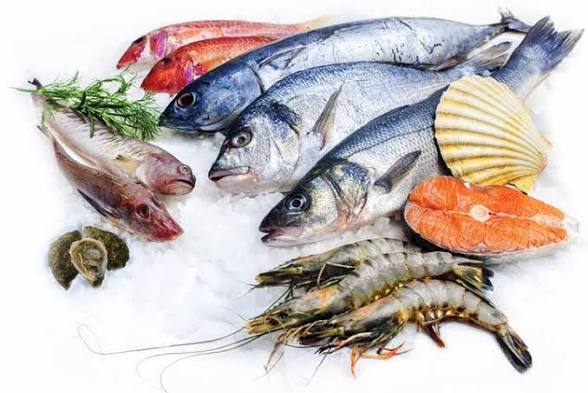 آمادگی البرز برای حضور در کنسرسیوم صادراتی آبزیان