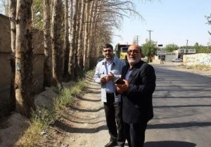 ضرب‌الاجلِ دستگاه قضا برای نجات درختان چهارباغ