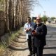 ضرب‌الاجلِ دستگاه قضا برای نجات درختان چهارباغ