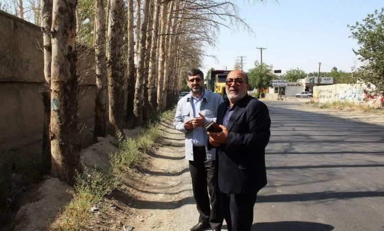 ضرب‌الاجلِ دستگاه قضا برای نجات درختان چهارباغ