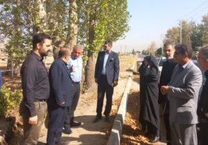پرونده قطع درختان چهارباغ وارد فاز قضایی شد