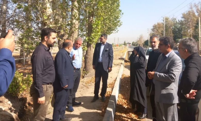 پرونده قطع درختان چهارباغ وارد فاز قضایی شد
