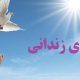 چراغ‌ امید ۵ خانواده زندانی کرج روشن شد