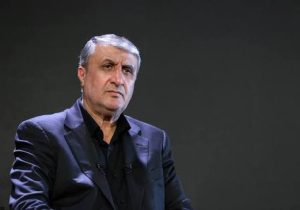 رئیس سازمان انرژی اتمی ایران عازم وین شد