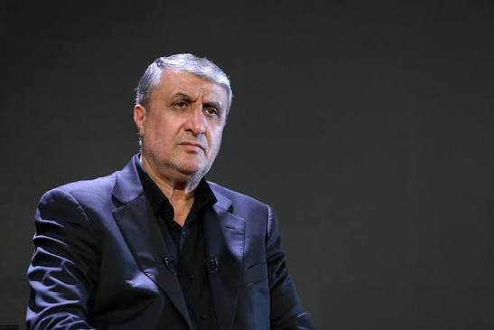 رئیس سازمان انرژی اتمی ایران عازم وین شد